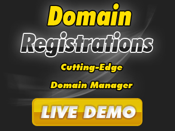 Bargain domain name service providers